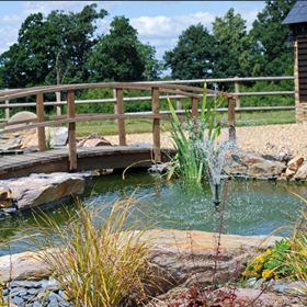  Landscape Designers Orpington: The Landscape Design Studio